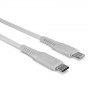 Lindy Câble USB Type C vers Lightning, Blanc, 0.5m