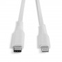 Lindy Câble USB Type C vers Lightning, Blanc, 0.5m