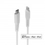 Lindy Câble USB Type C vers Lightning, Blanc, 2m