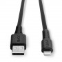 Lindy Câble USB Type A vers Lightning, noir, 1m