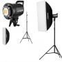 Godox SL60W Duo Kit Video Light