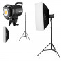Godox SL60llD Duo Pro Kit - Video Light