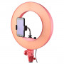 Godox LR180 LED Ring Light Pink