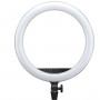Godox LR150B - LED ring light with smartphone holder, black