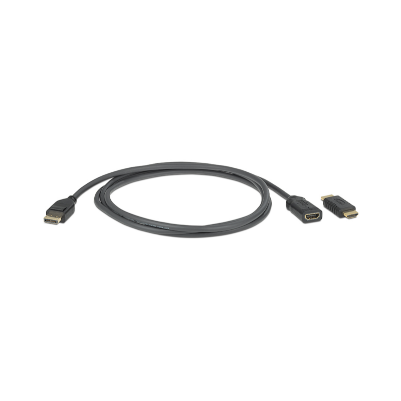 Extron DisplayPort Male to HDMI F Active Adapter Cable - 6ft (1.8 m)