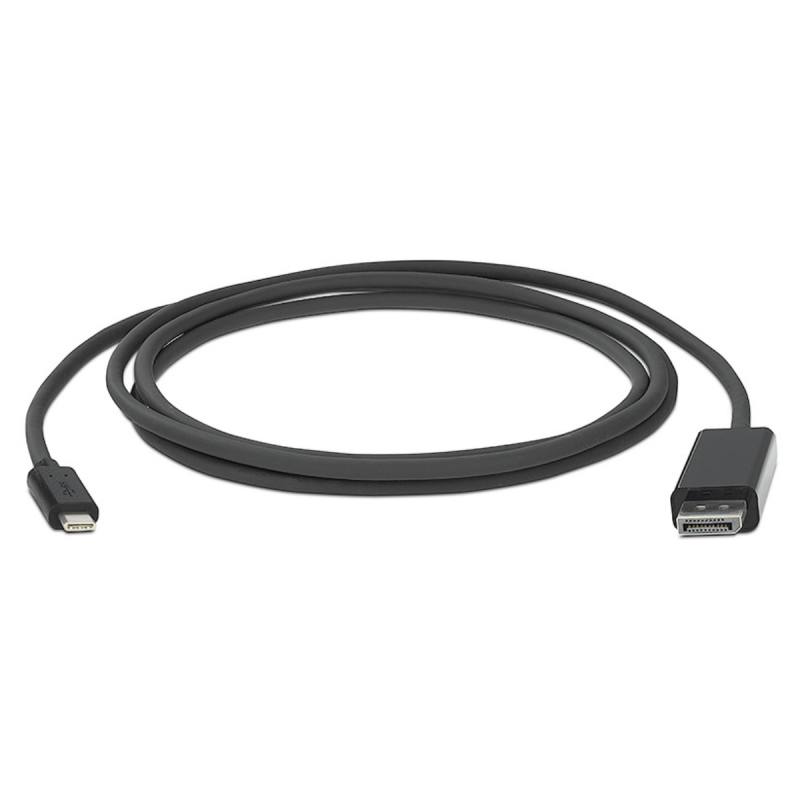 Extron USB-C male to DP male adapter cable, 6' (1.8 m)