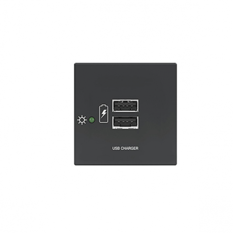 Extron Two USB Outlets, Black