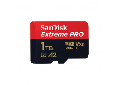 SANDISK - Carte mémoire - 64 Go Carte microSD Extreme Idéal pour les  Caméras d'Action & Drone