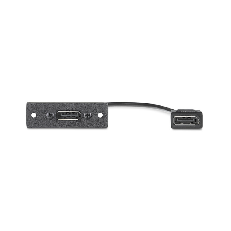 Extron Black: One DisplayPort F to One DisplayPort F on 10" Pigtail