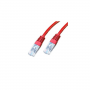 Neklan Cordon Cat 6 UTP Rouge - 30 m