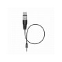 Sennheiser Kit audio sans fil numérique 1,9 GHz micro cravate et main