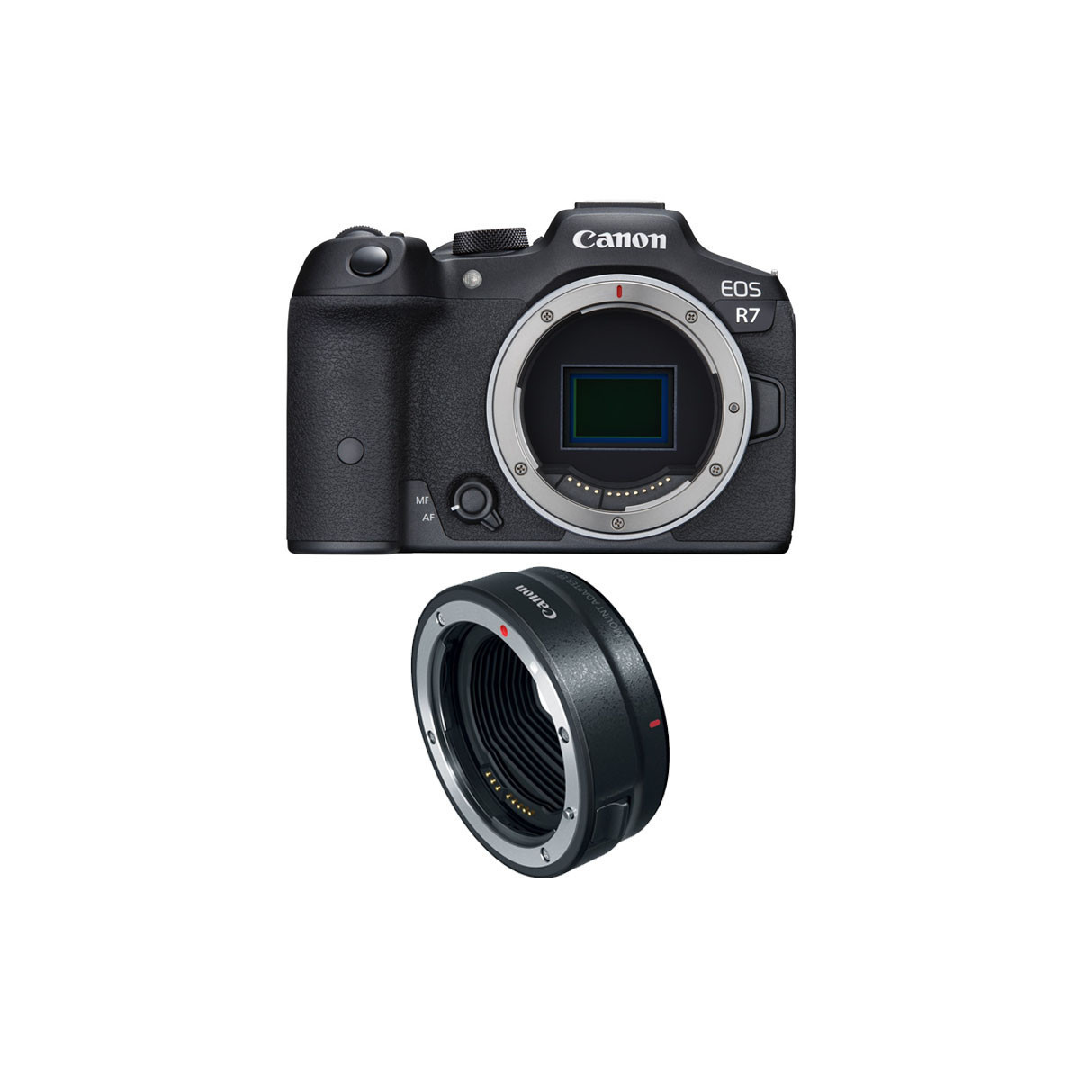 Canon Appareil Photo Numérique Sans Miroir EOS R7 avec Objectif RF