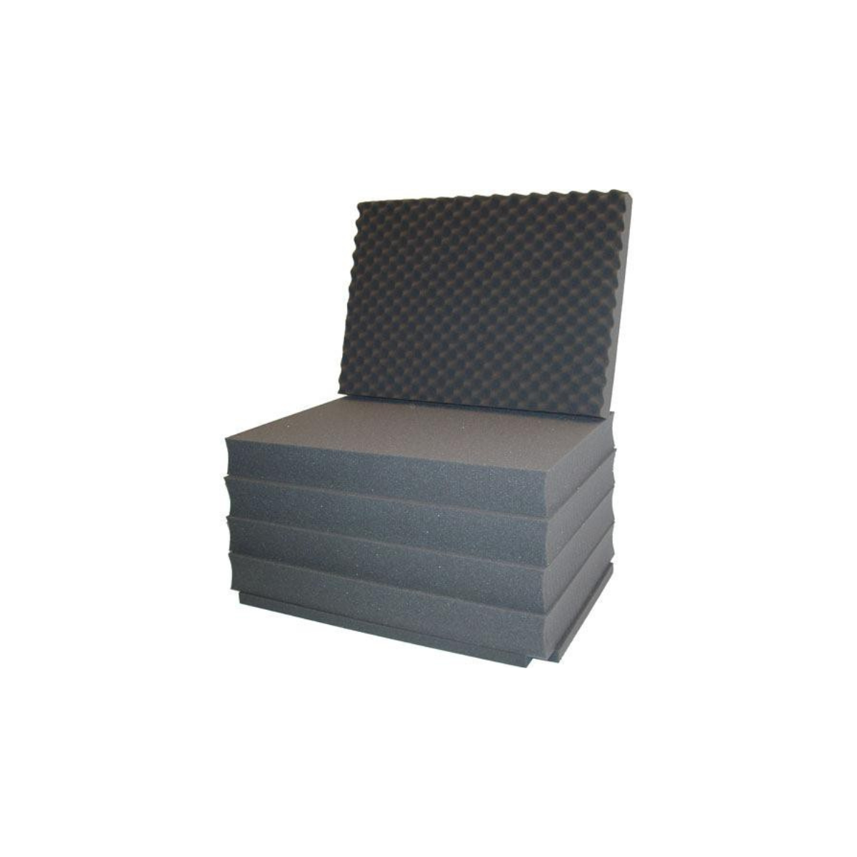 Porta Brace PB-2400FP Hard Case, Foam Interior, Airtight, Small