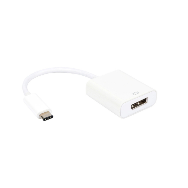 Convertisseur USB 3.1 C M/DPP F 0.10m