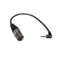 Astera - Adaptateur DMX Mini Jack vers XLR5 Mâle pour ART7