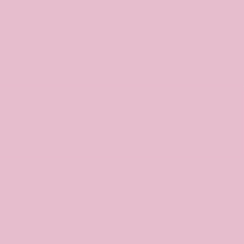 Lee Filters Filtre gélatine 035 effet Light Pink Rouleau 762x122cm