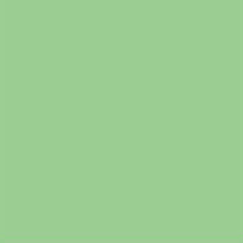 Lee Filters Filtre gélatine 244 correcteur LEE Plus Green Rouleau