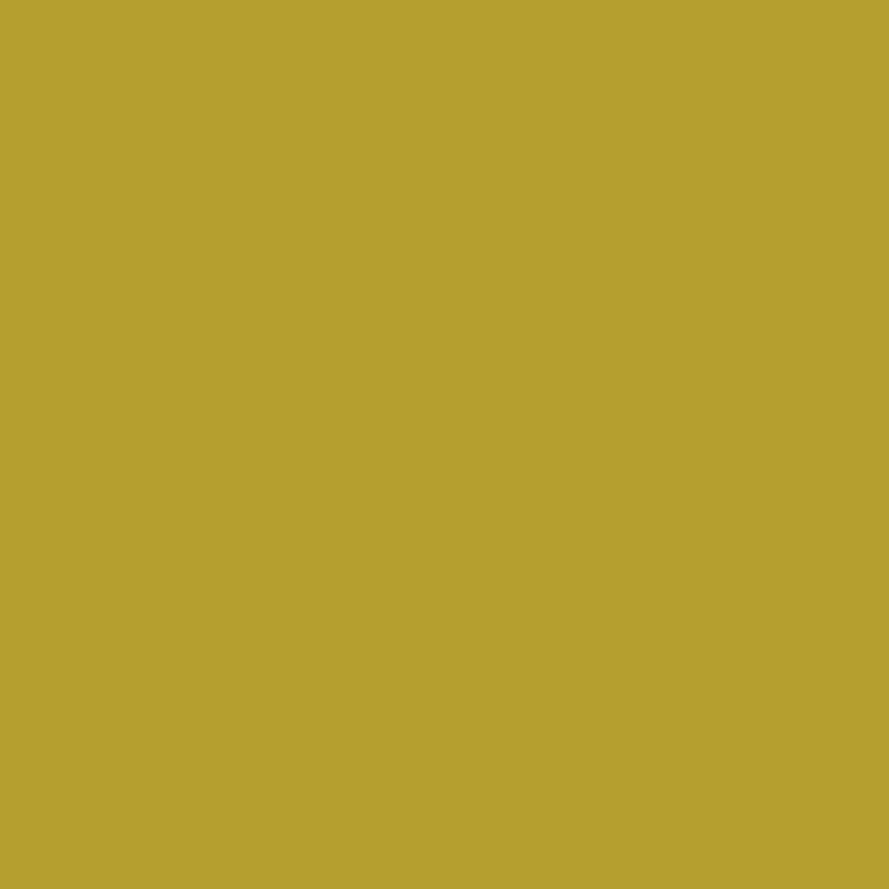 Lee Filters Filtre gélatine 642 correcteur Half Mustard Yellow