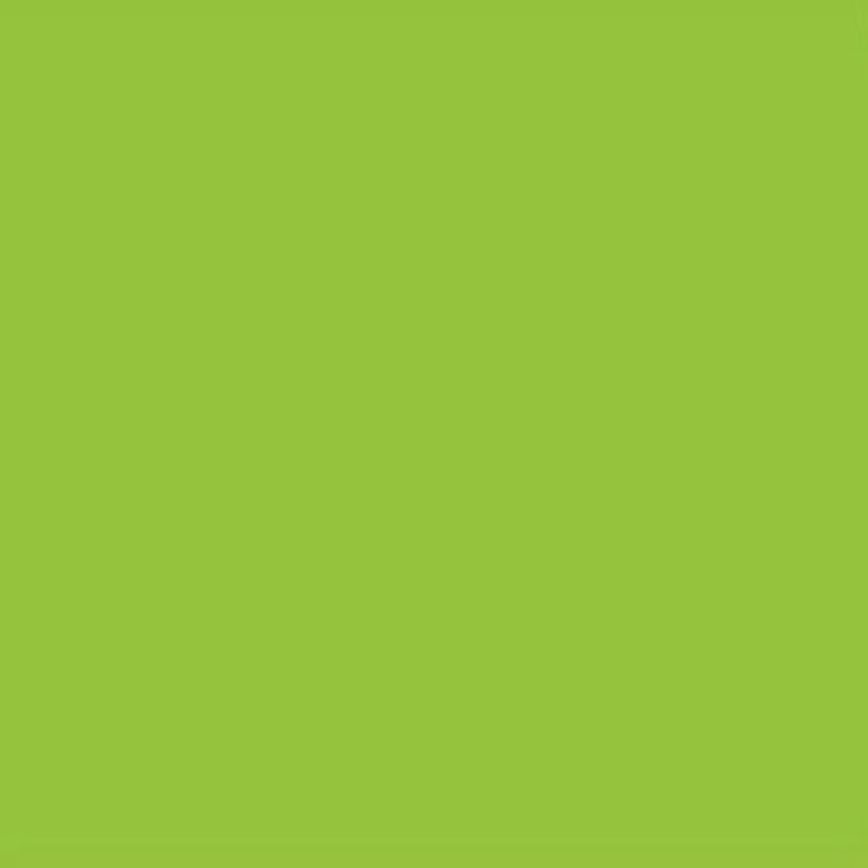 Lee Filters Filtre gélatine 738 effet JAS Green Rouleau 762x122cm