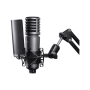 Godox Large-Diaphragm Cardioid Condenser Microphone XMic100GL