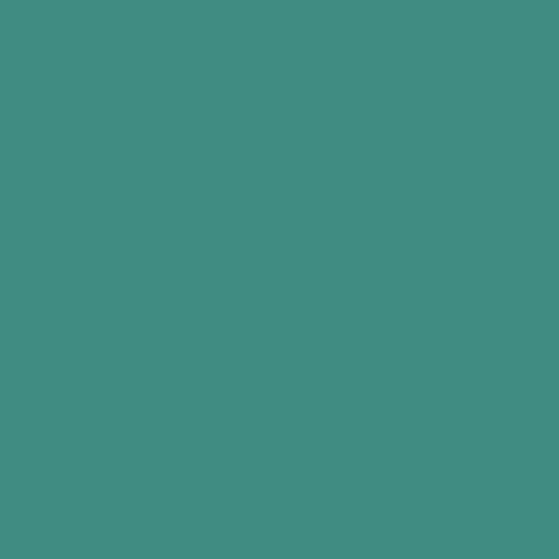 BD Rouleau fond papier  1,36 x 11 m TEAL