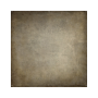 WESTCOTT Fond Tissu - Parchment Paper - Joel Grimes - 2,40x2,40m