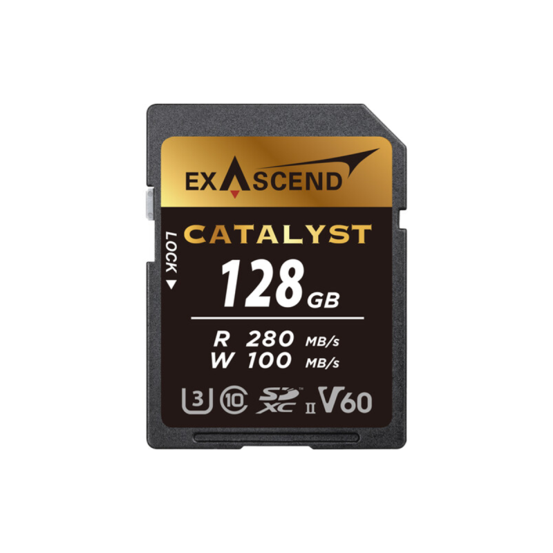 Exascend SD UHS-II (V60) Catalyst 256Go