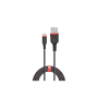Lindy Câble de charge haute résistance USB Type A /Micro-B, 3A, 3m