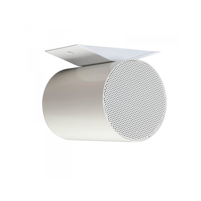 Biamp Projecteur de son bi-directionnel 2 x 5'',certifié EN54-24