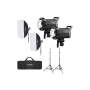 Godox Litemons LA150D Daylight Duo Kit