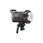 Godox Litemons LA200D Daylight Duo Kit