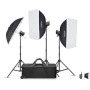 Godox MS300V-D Trio Studio Flash Kit