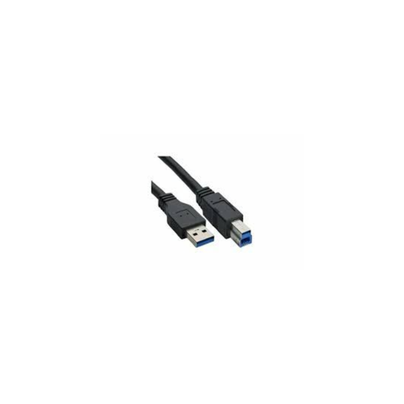 AVer Câble USB 3.1  type B vers A 3m pour VC520, CAM520 et CAM550