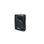 Rondson Enceinte amplifiée 2 voies bass-réflex 80W RMS port USB & TC