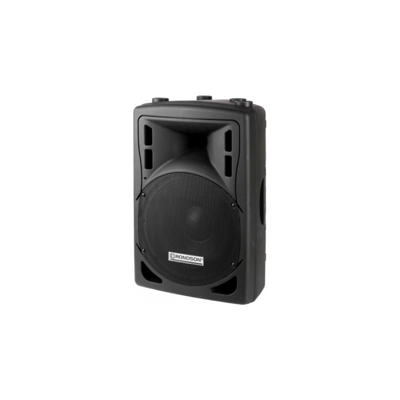 Rondson Enceinte de puissance 2 voies bass-réflex100V IP66