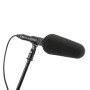 DPA Microphone canon 2017