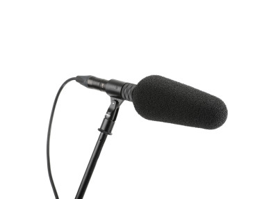 DPA Microphone canon 2017