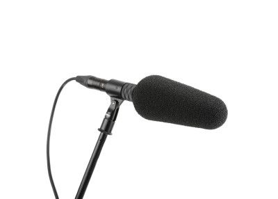 DPA Microphone canon 2017