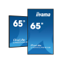 IIYAMA LFD 65" dalle IPS 24/7 3840x2160 VGA 3xHDMI 2xHP 1xDP 2xUSB