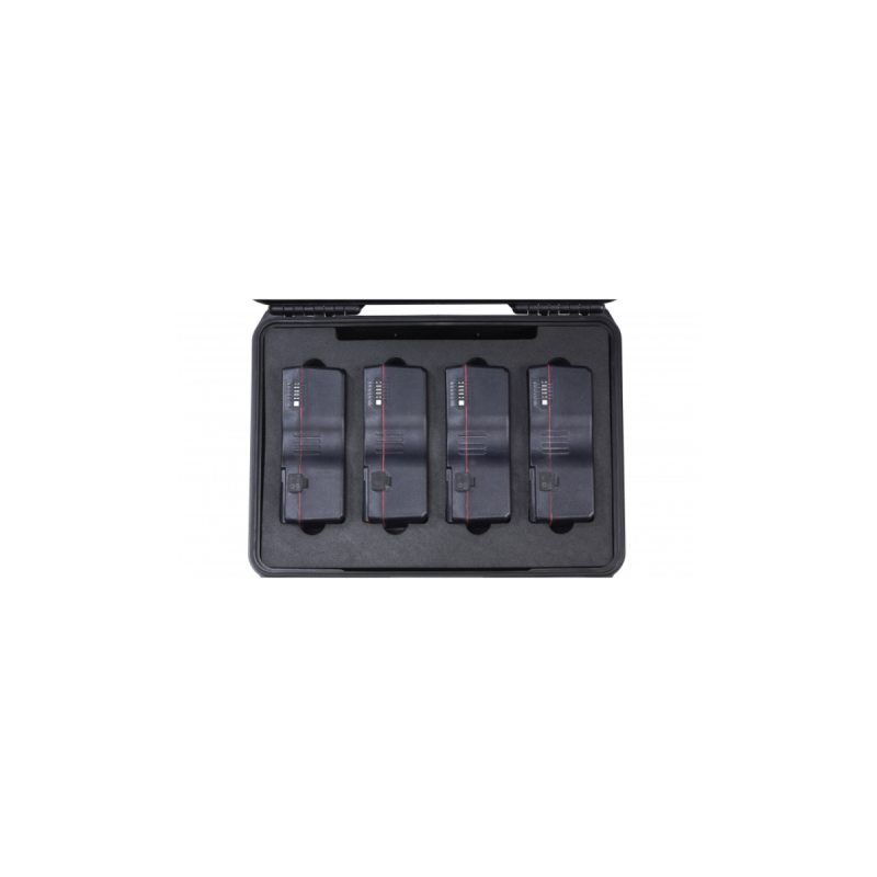 Blueshape Un Certified Flight Case For 4 Batteries