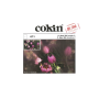 Cokin Filter X071 C.Spot WA Incolor 2