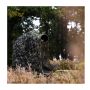 Caruba Filet de camouflage Woodland