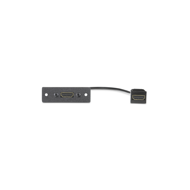Extron Single Space AAP Black HDMI F-F on pigtail, Momentary Switch
