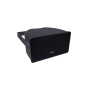 Work Pro Proj. son IP65, LF 10" + HF 1" 300W/8O-120W/100V noir