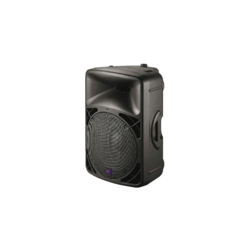 Work Pro Enceinte amplifiée 100 W. 2 voies 15'' + moteur 1''.
