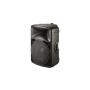 AUDIOPOLE Enceinte amplifiée 100 W. 2 voies 15'' + moteur 1''.