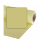 Colorama Fond Papier Studio 1.35 X 11M Fern