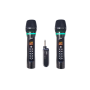 Lone Audio Double micro HF avec récepteur Bluetooth indépendant