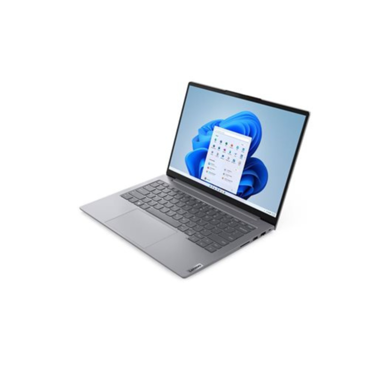 Lenovo ThinkBook i7 13700H  W11P Iris Xe 16Go 512SSD 14" IPS gris