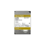 Western Digital WD Gold 24 To (WD241KRYZ)